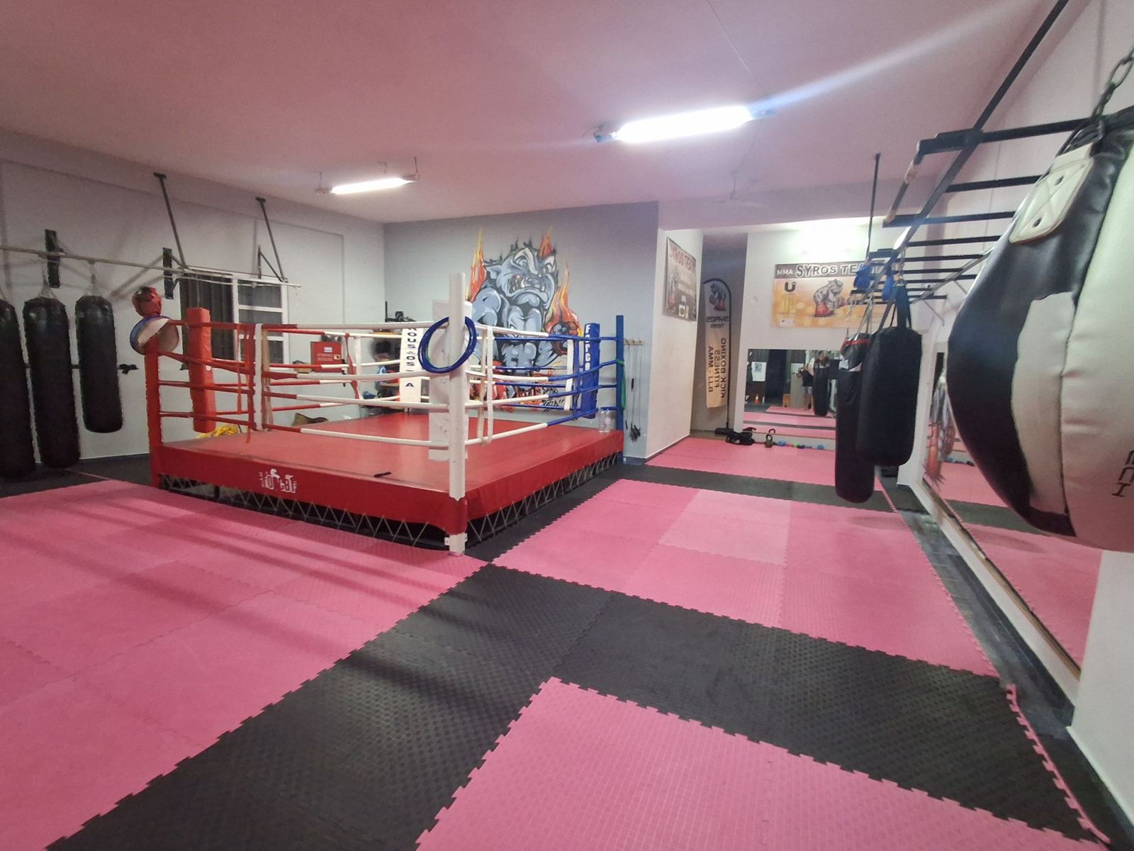 Φωτογραφία προπόνησης Syros Jiu Jitsu 9